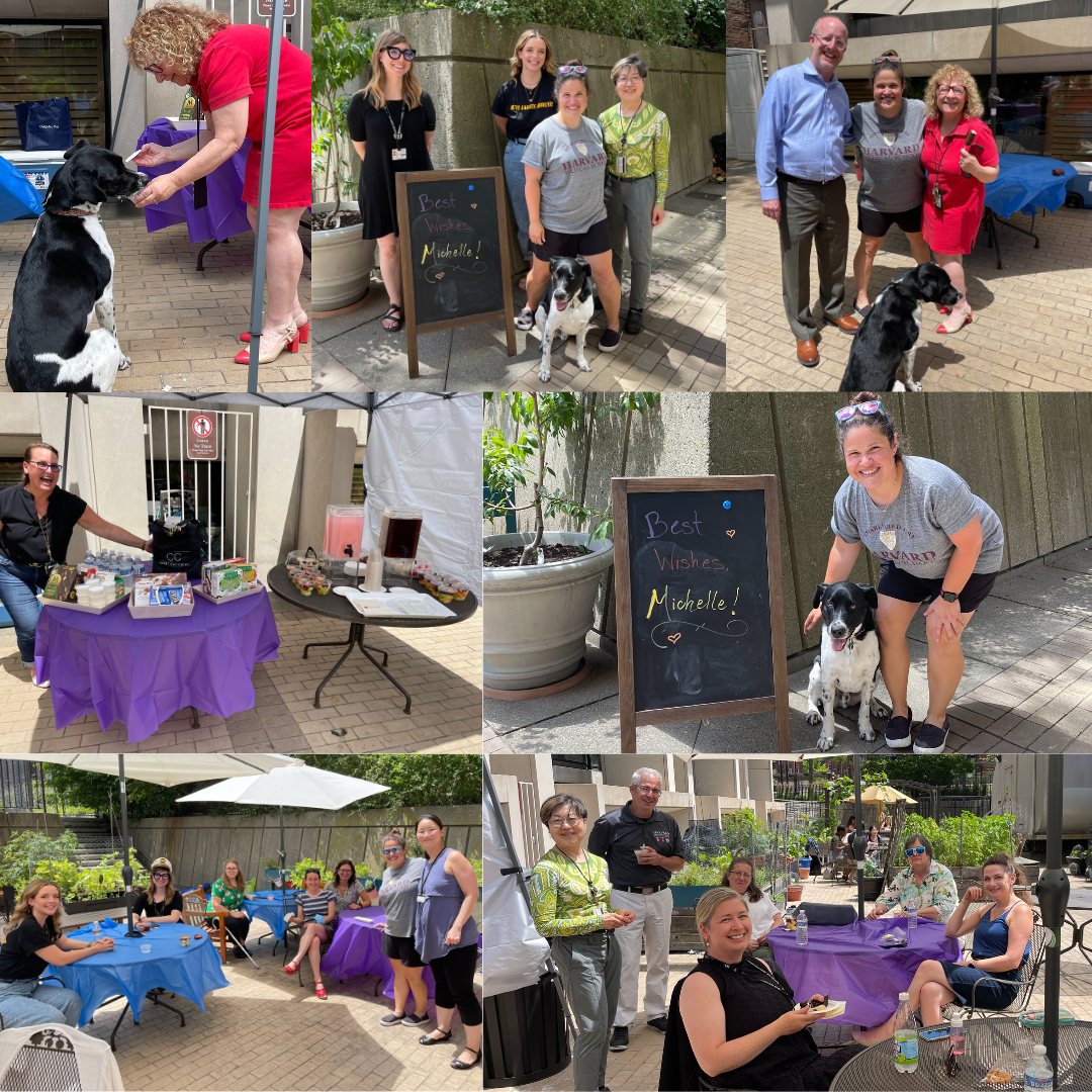 photographs of staff at a going away party in the Countway Garden