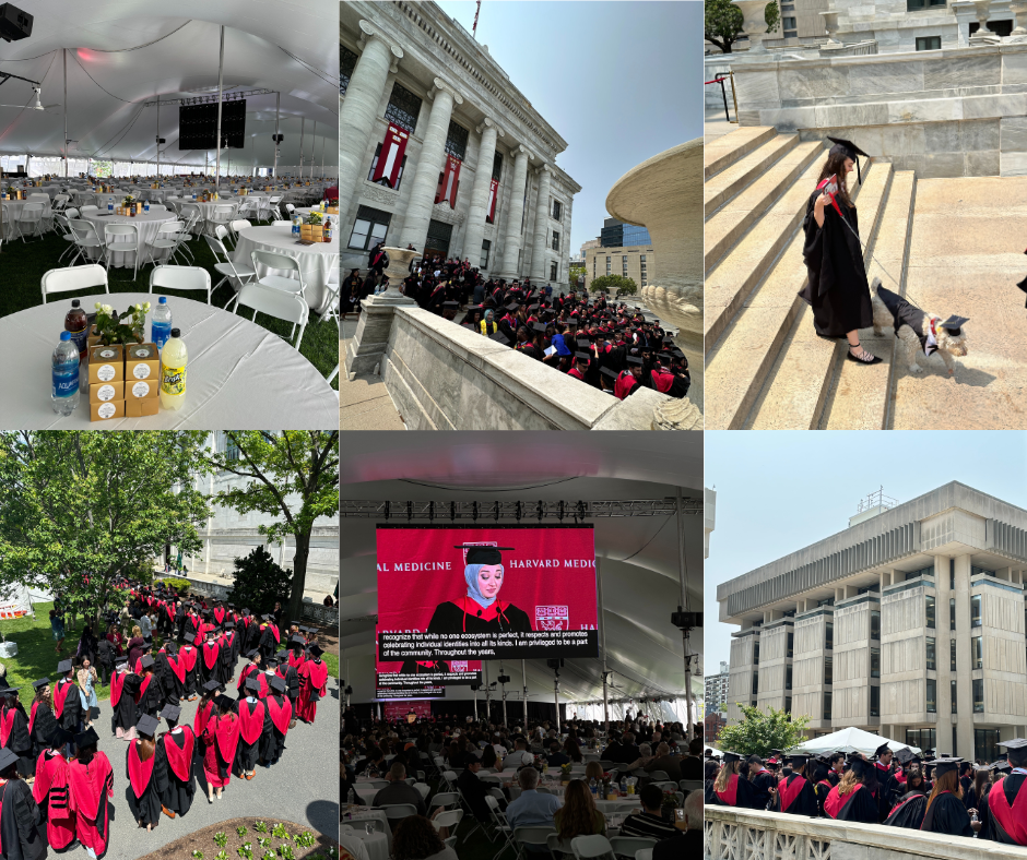 graduation collage showing attendees, students in regalia, and a student walking a dog, both of whom are wearing a graduation cap and gown