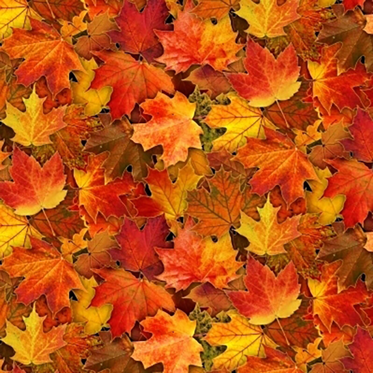 fall leaves