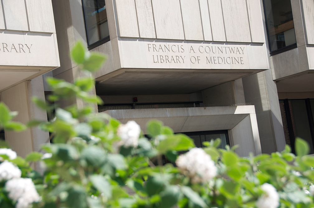 Countway Library building from exterior with white flowers